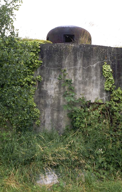 Ligne Maginot - 25/2 - GEISSWASSER VILLAGE - (Abri) - L'abri en 1999