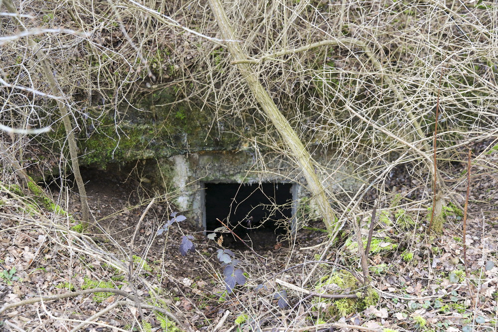 Ligne Maginot - BOIS DE DESSENHEIM SUD 8 - (Abri) - Entrée ouest