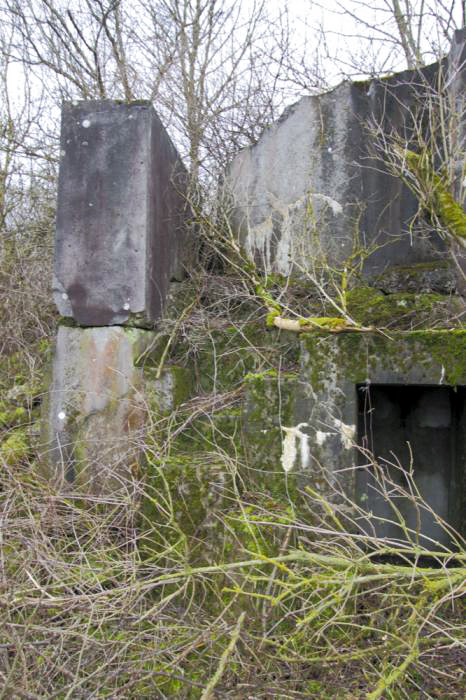 Ligne Maginot - ECLUSE D'HIRTZFELDEN SUD - (Blockhaus pour arme infanterie) - L'escalier