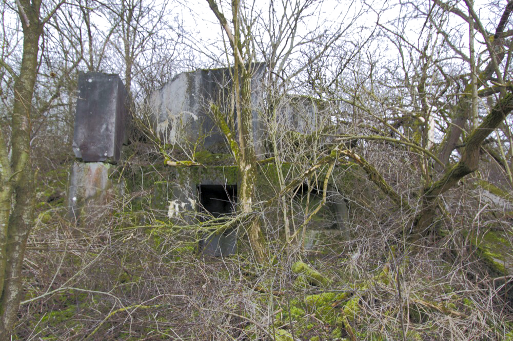 Ligne Maginot - ECLUSE D'HIRTZFELDEN SUD - (Blockhaus pour arme infanterie) - Vue générale