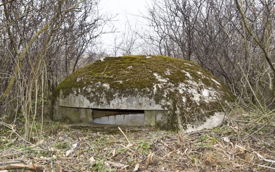 Ligne Maginot - OBERWALD SUD EST 1 - (Blockhaus pour arme infanterie) - Coupole 7e RM