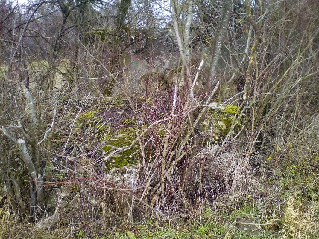 Ligne Maginot - THIERBACH 2 - (Blockhaus de type indéterminé) - Vue d'ensemble.