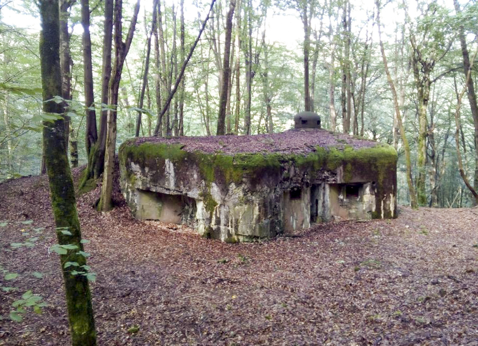 Ligne Maginot - MARKBACH - (Blockhaus pour arme infanterie) - Vue sur l'entrée