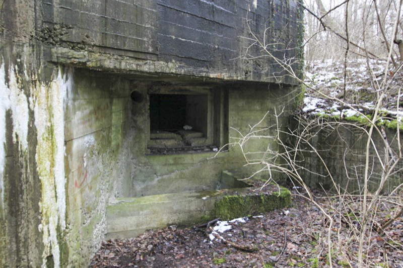 Ligne Maginot - 34 - THALERKOPF - (Casemate d'infanterie - Simple) - L'embrasure nord