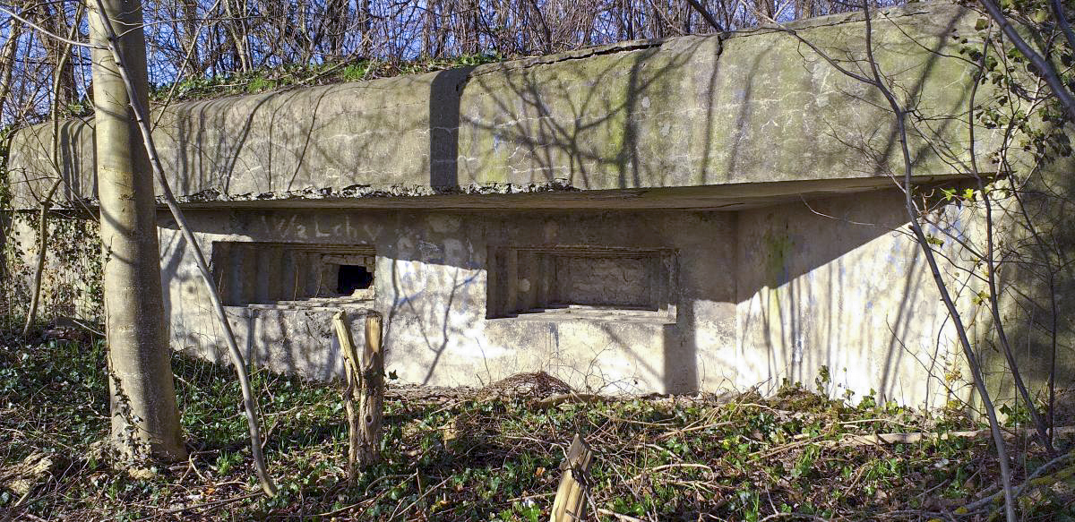 Ligne Maginot - 51 - BUSSIERES - (PC de Sous-Quartier) - Chambre de tir sud