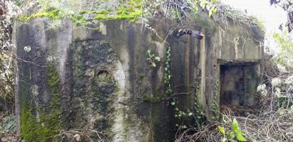 Ligne Maginot - PORT DU RHIN CENTRE 9 - (Blockhaus pour arme infanterie) - Créneau FM de défense de l'entrée (muré)