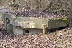 Ligne Maginot - LEUTESHEIM 1 - (Blockhaus pour arme infanterie) - 