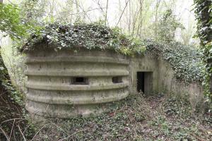 Ligne Maginot - AP13 - RHEINGIESSEN - (Blockhaus pour arme infanterie) - Vue de la partie active et son entrée