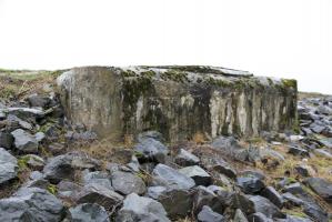 Ligne Maginot - Blockhaus AUKOPF Sud - Le bloc a presque disparu dans la digue du Rhin canalisé