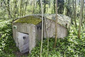 Ligne Maginot - HERRENFELD (II/34°RIF ) - (PC de Quartier) - Abri 1