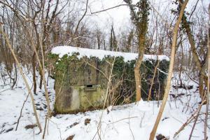 Ligne Maginot - HERRENFELD (II/34°RIF ) - (PC de Quartier) - Abri 2