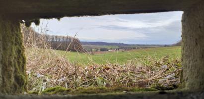 Ligne Maginot - KINZELBACH OUEST 2 - (Blockhaus pour arme infanterie) - Vu depuis le créneau d'observation (vallon du Kinzelbach)