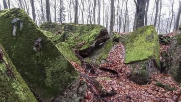 Ligne Maginot - PFAFFENBRONN - O96 - (Observatoire d'artillerie) - 