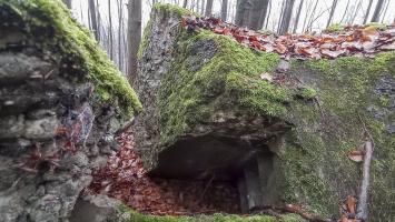 Ligne Maginot - PFAFFENBRONN - O96 - (Observatoire d'artillerie) - 