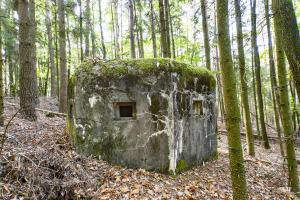 Ligne Maginot - GROS CHENE Ouest ( Blockhaus pour arme infanterie ) - 