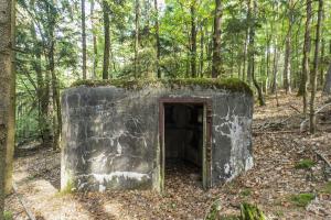 Ligne Maginot - GROS CHENE Ouest ( Blockhaus pour arme infanterie ) - 