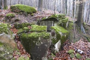 Ligne Maginot - HOCHWALD Ouest 2 ( Blockhaus pour arme infanterie ) - 