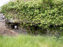 Ligne Maginot - INGOLSHEIM Ouest ( Casemate d'infanterie ) - 