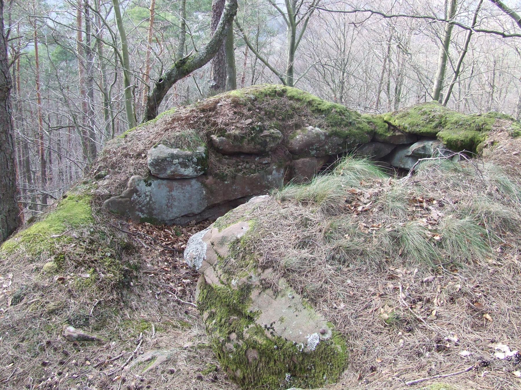 Ligne Maginot - FALKENBERG OUEST - (Observatoire d'infanterie) - L'observatoire de campagne