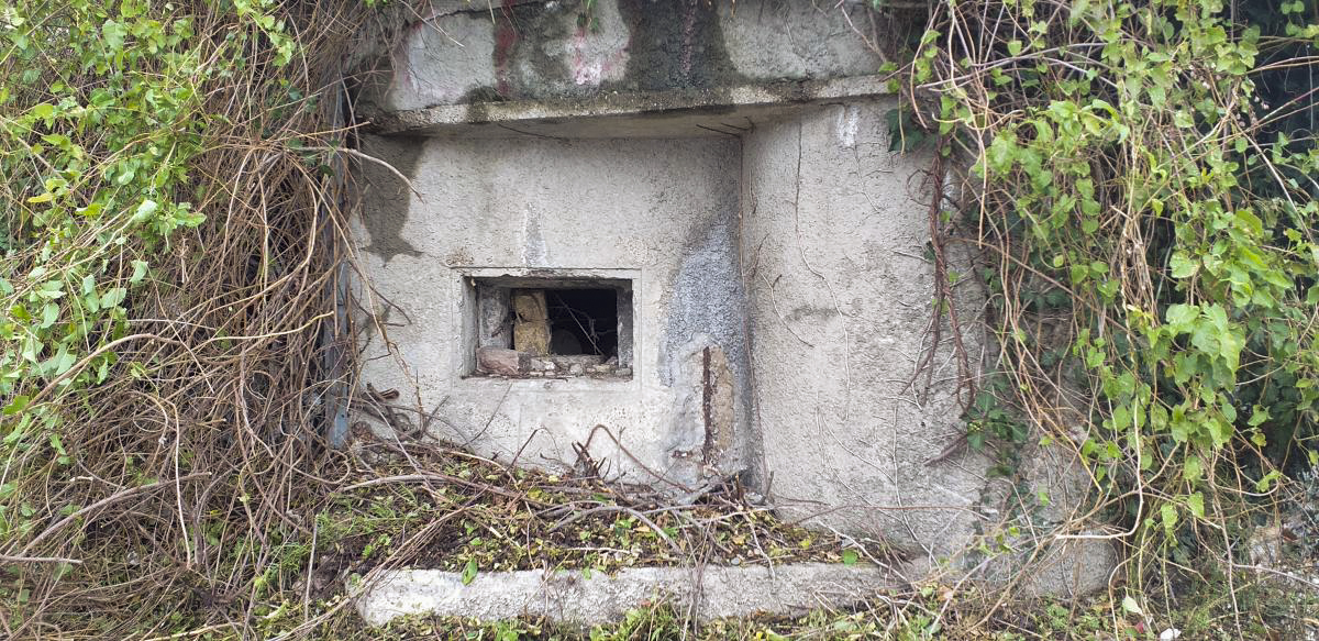 Ligne Maginot - PORT DU RHIN CENTRE 9 - (Blockhaus pour arme infanterie) - Créneau prenant en enfilade la rue Coulaux