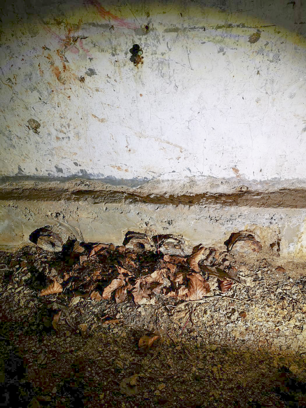 Ligne Maginot - V - (Chambre de coupure) - Arrivée (ou départ) des câbles téléphoniques.