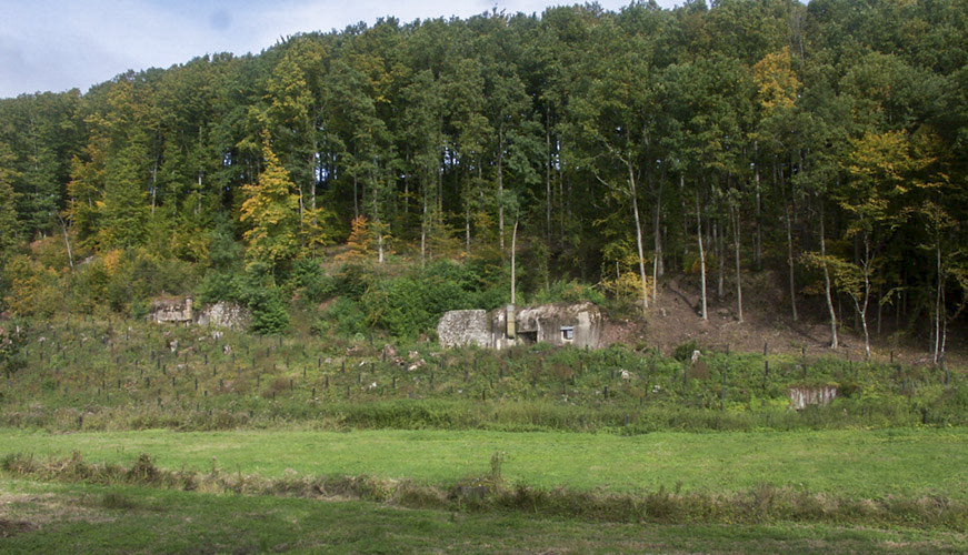 Ligne Maginot - FROHMUHL (PC DU QUARTIER KAPELLENHOF - II/153° RIF) - (Abri) - Vue depuis la route.
Noter l'abri MOM situé en contrebas à droite de la photo