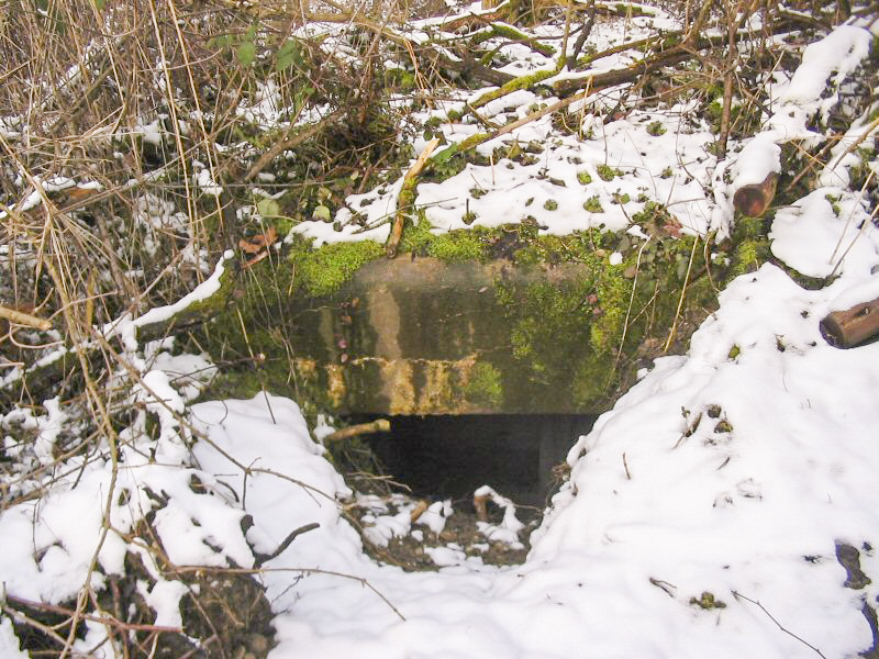 Ligne Maginot - BLAUELSAND - (Observatoire d'infanterie) - 