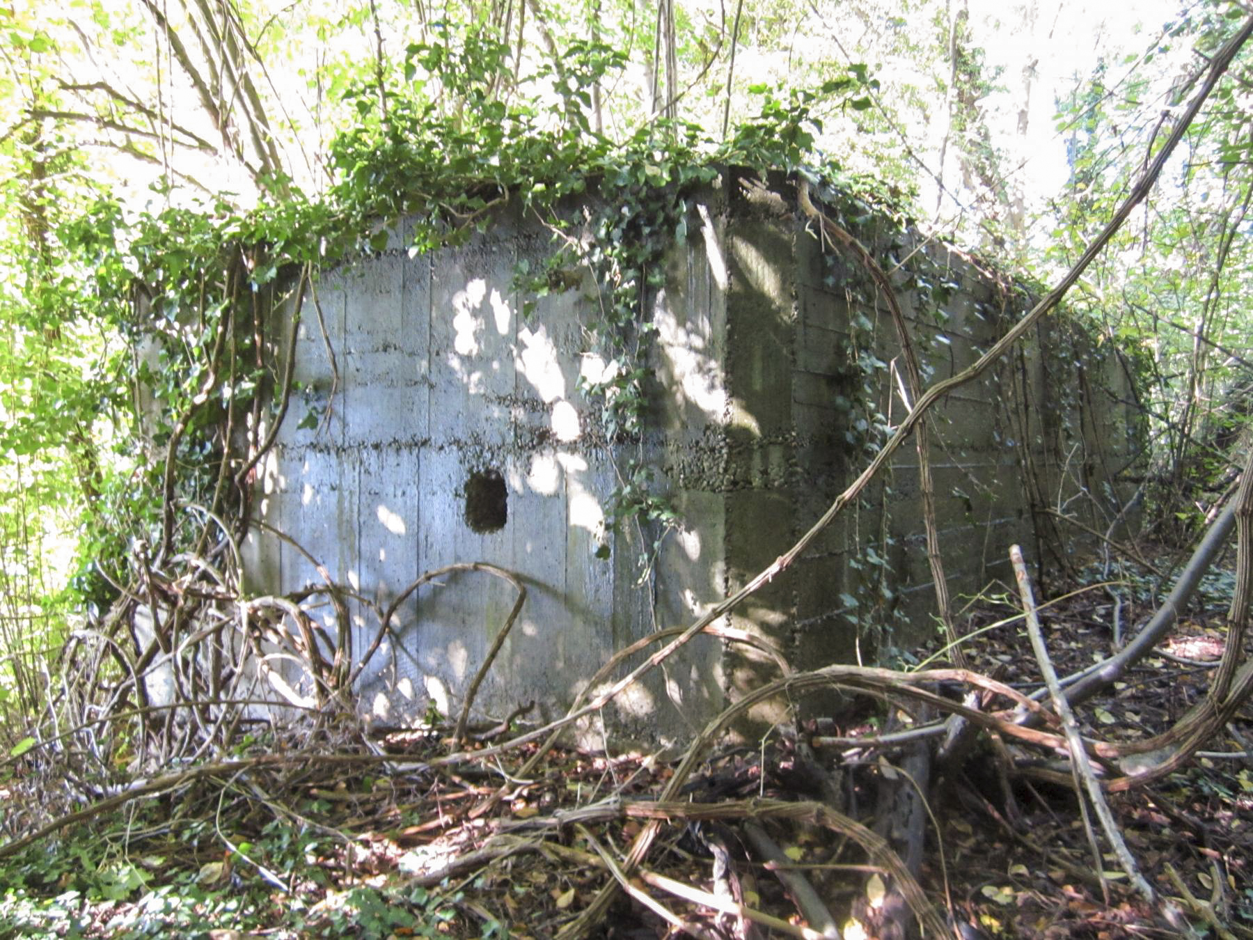 Ligne Maginot - ETANG GERIG 3 - (Abri) - 