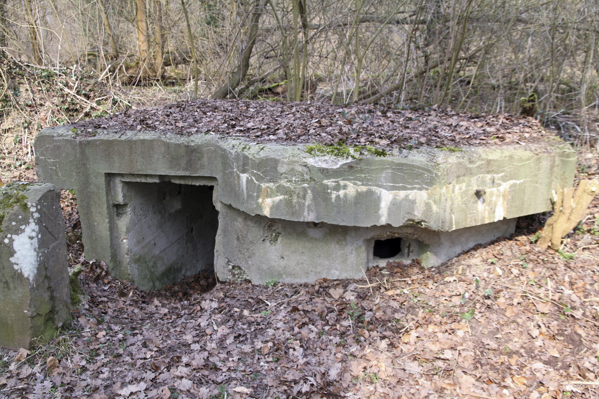 Ligne Maginot - LEUTESHEIM 1 - (Blockhaus pour arme infanterie) - 