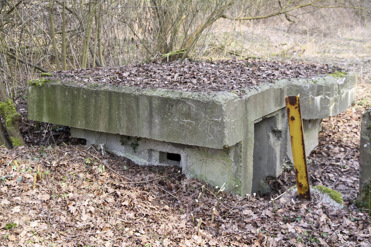 Ligne Maginot - LEUTESHEIM 1 - (Blockhaus pour arme infanterie) - 