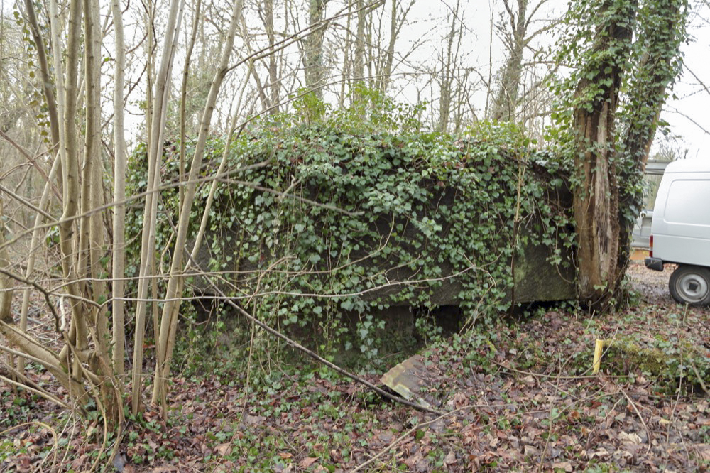 Ligne Maginot - NEUF-EMPERT 4 - (Blockhaus pour arme infanterie) - Vue générale de la façade frontale