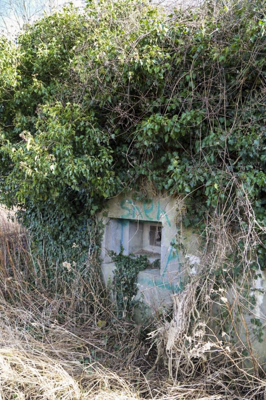 Ligne Maginot - ALTSCHOLLEN - (Casemate d'infanterie - Simple) - Caponnière d'entrée