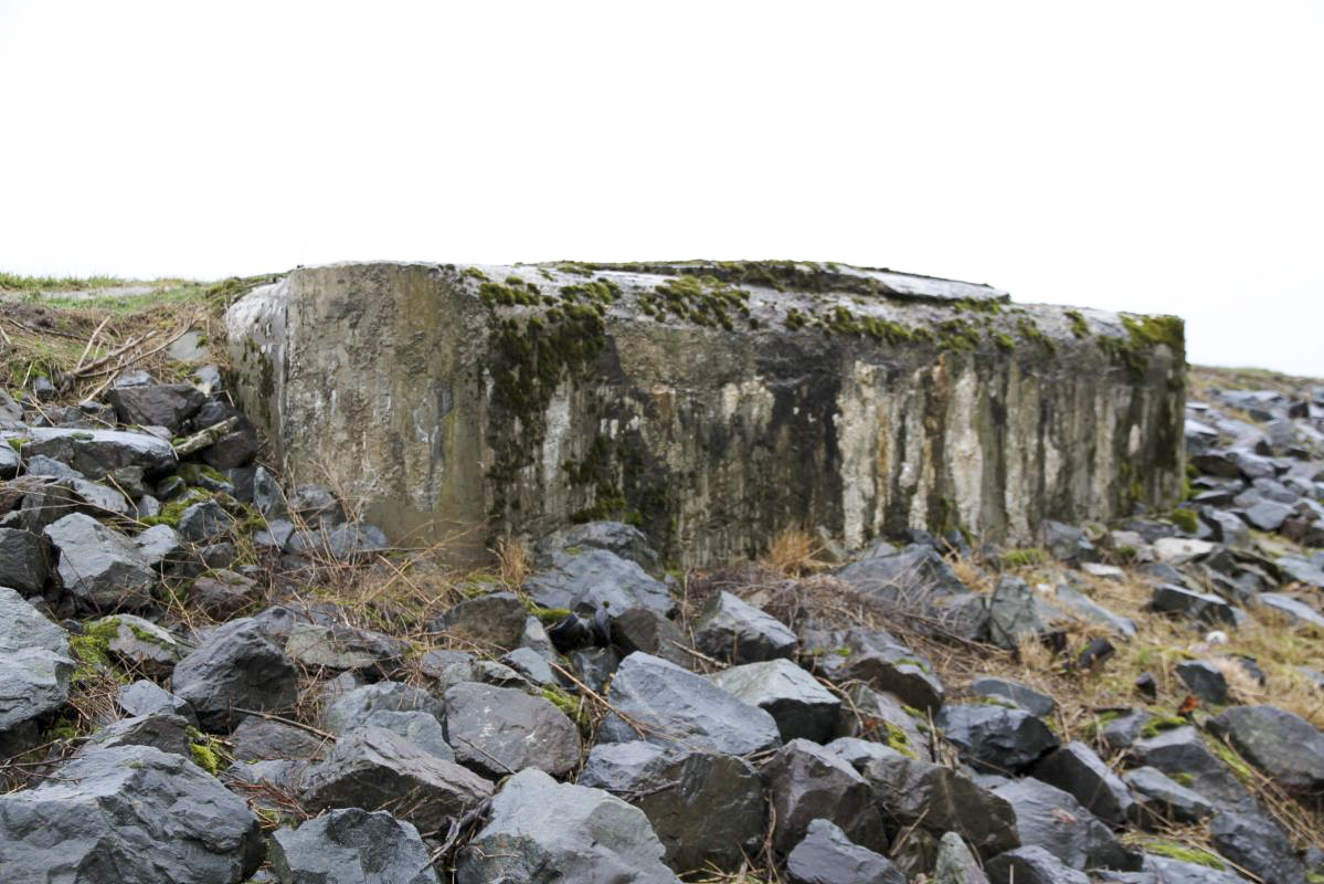 Ligne Maginot - Blockhaus AUKOPF Sud - Le bloc a presque disparu dans la digue du Rhin canalisé