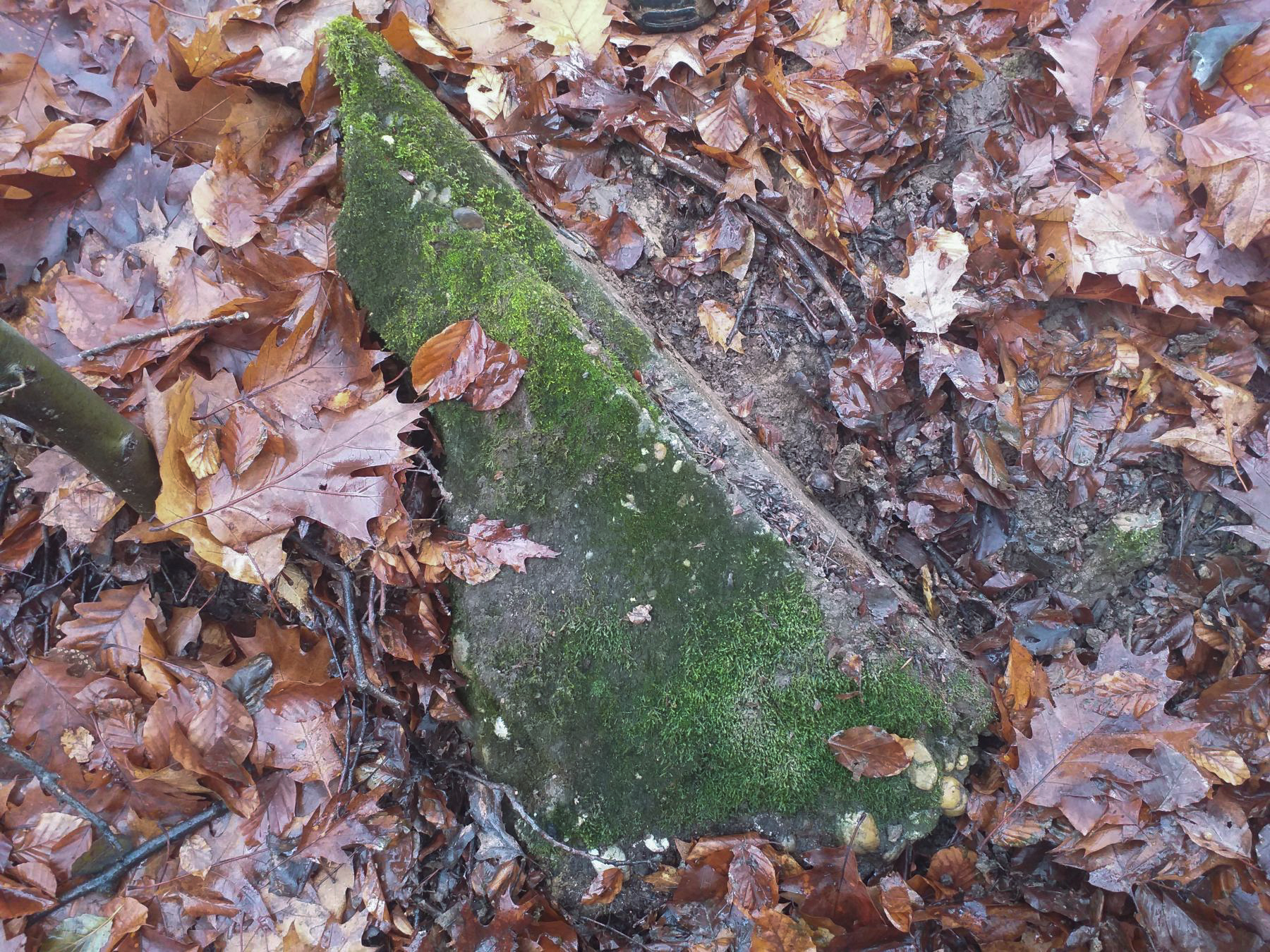 Ligne Maginot - OBERWALD 3 - (Cuve pour canon) - Fragment de béton