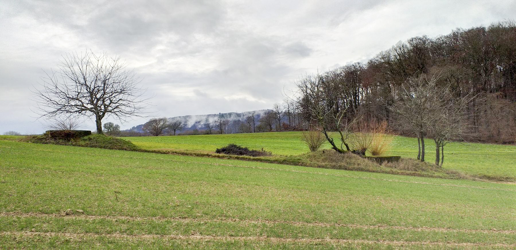 Ligne Maginot - KINZELBACH OUEST 1 et 2 - (Blockhaus pour arme infanterie) - Les deux blocs Kinzelbach ouest 1 et 2 vu de face