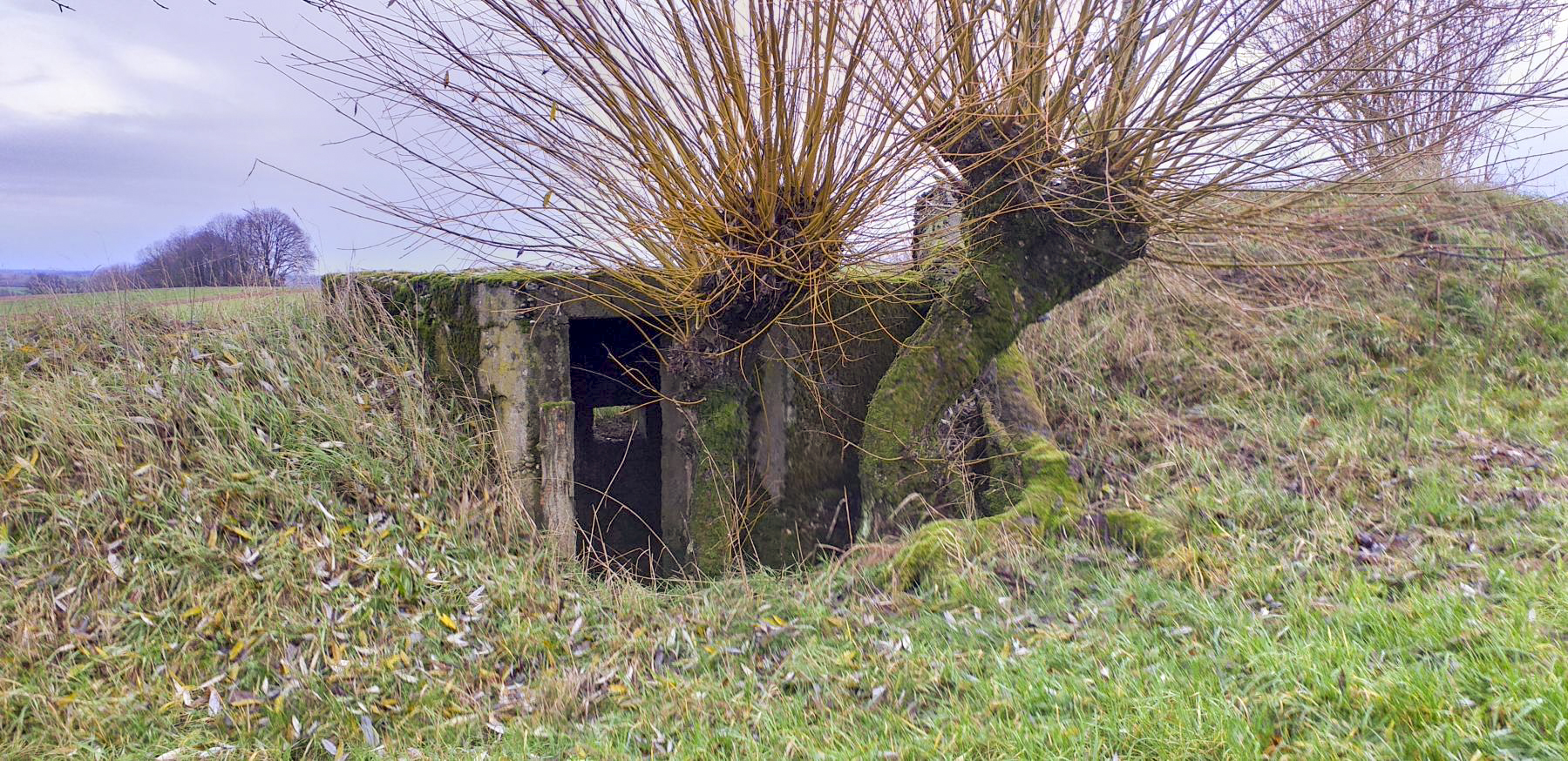 Ligne Maginot - KINZELBACH OUEST 1 - (Blockhaus pour arme infanterie) - L'entrée