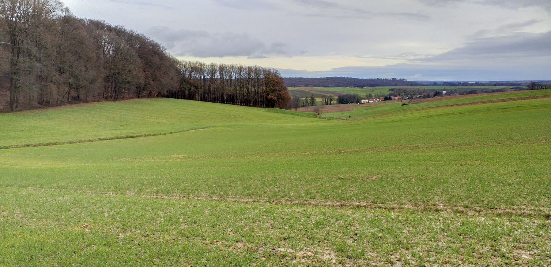 Ligne Maginot - KINZELBACH OUEST 1 - (Blockhaus pour arme infanterie) - La direction de tir du bloc (vallon du Kinzelbach)