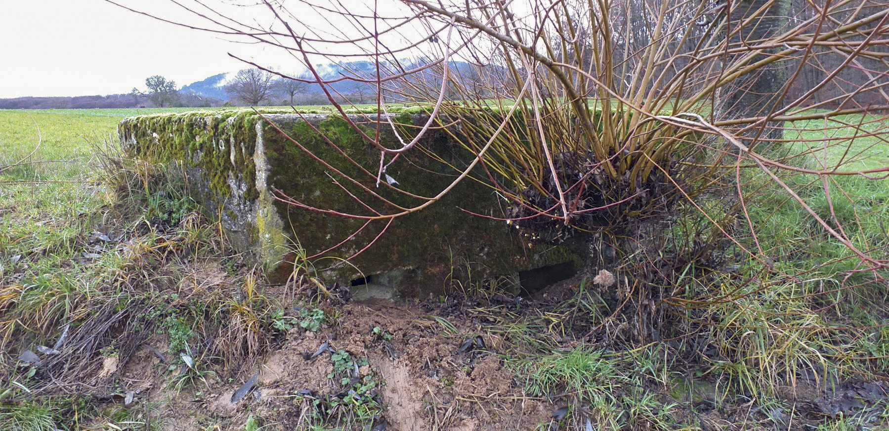 Ligne Maginot - KINZELBACH OUEST 2 - (Blockhaus pour arme infanterie) - Créneaux mitrailleuse et observatoire