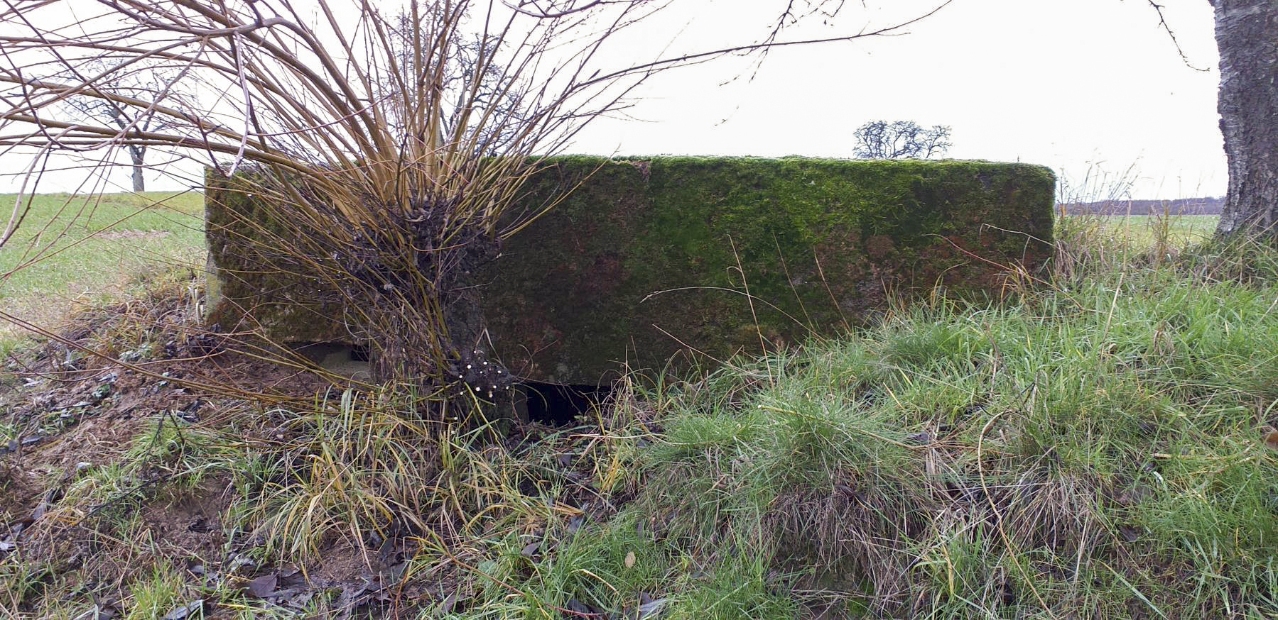 Ligne Maginot - KINZELBACH OUEST 2 - (Blockhaus pour arme infanterie) - Créneaux mitrailleuse et observatoire