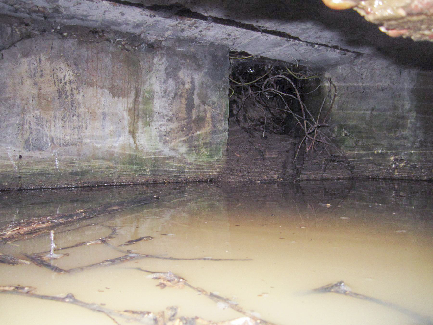 Ligne Maginot - KINZELBACH EST - (Blockhaus pour arme infanterie) - Le bloc est inondé et l'entrée remblayée