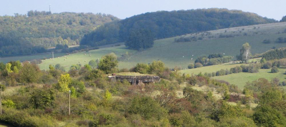 Ligne Maginot - PETERSBERG OUEST - C39 - (Casemate d'infanterie - Simple) - Vue générale