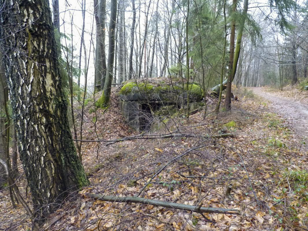 Ligne Maginot - 81 ( Chambre de coupure ) - Chambre de coupure 81 du Hochwald