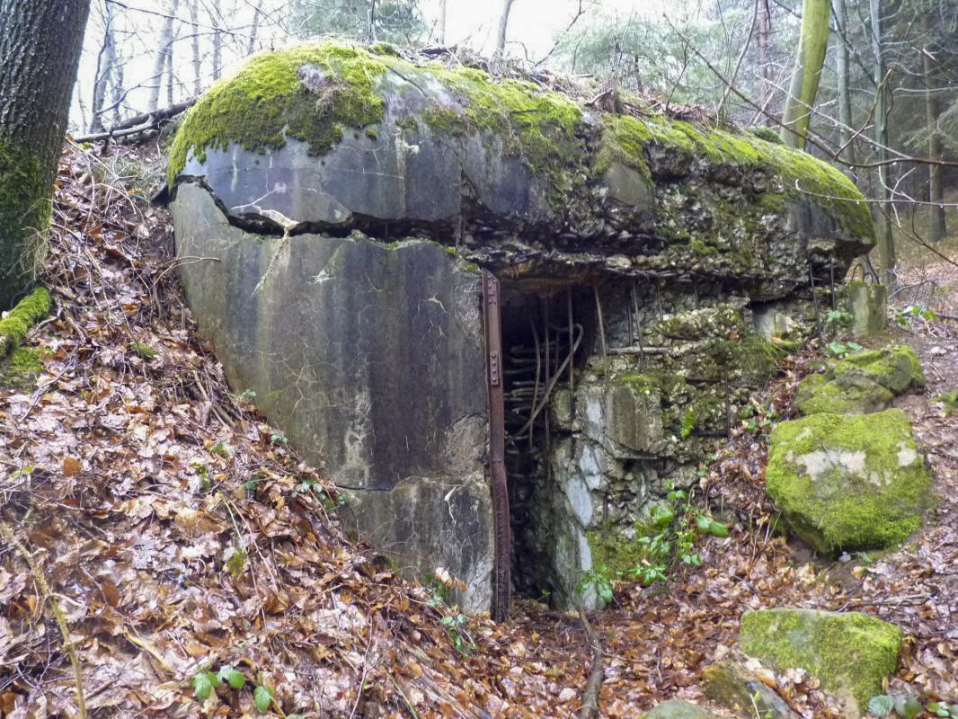 Ligne Maginot - 81 ( Chambre de coupure ) - 