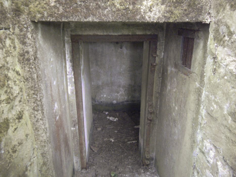 Ligne Maginot - BIRLENBACH SUD 2 - (Blockhaus pour arme infanterie) - 