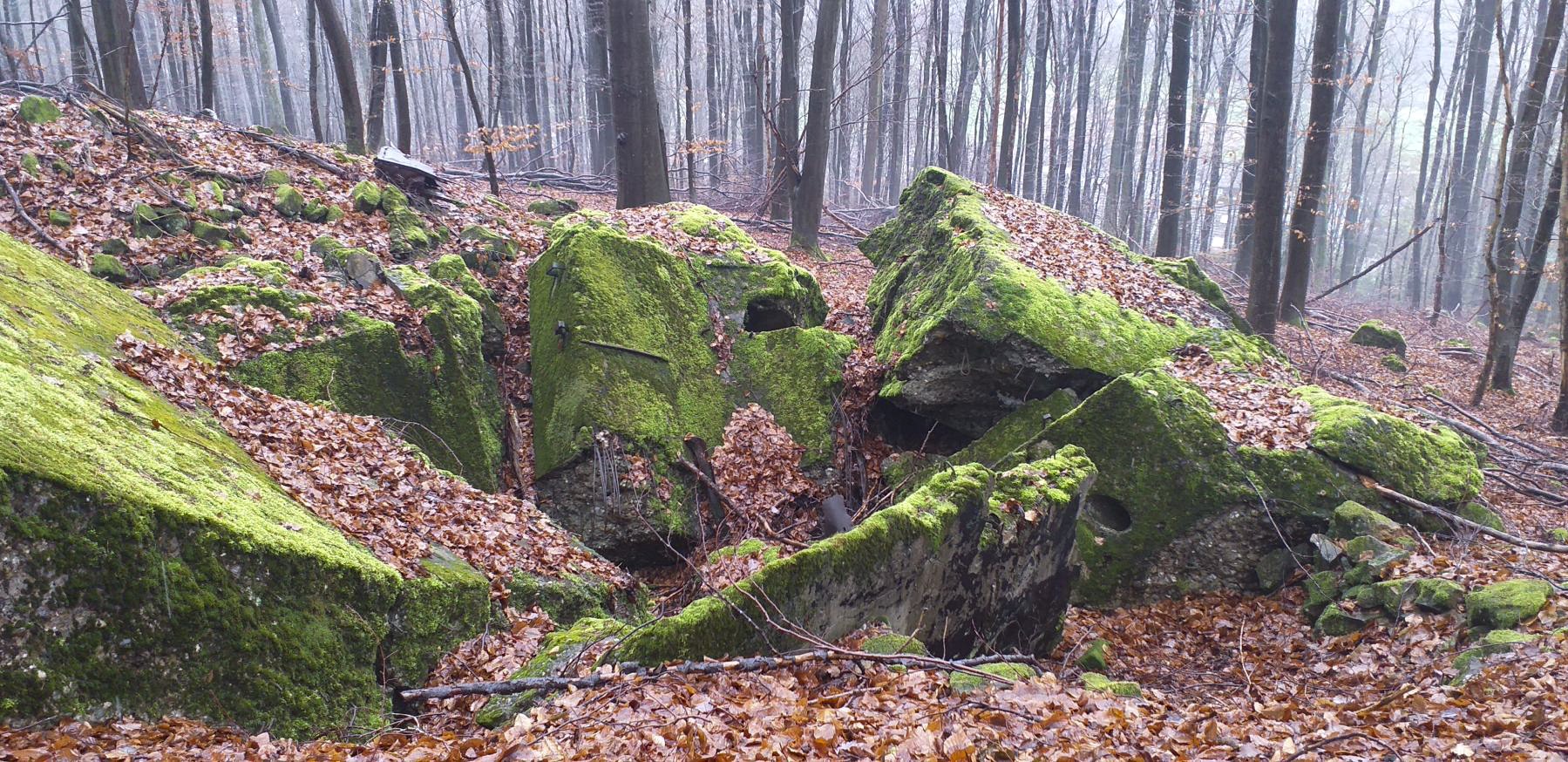 Ligne Maginot - PFAFFENBRONN - O96 - (Observatoire d'artillerie) - 