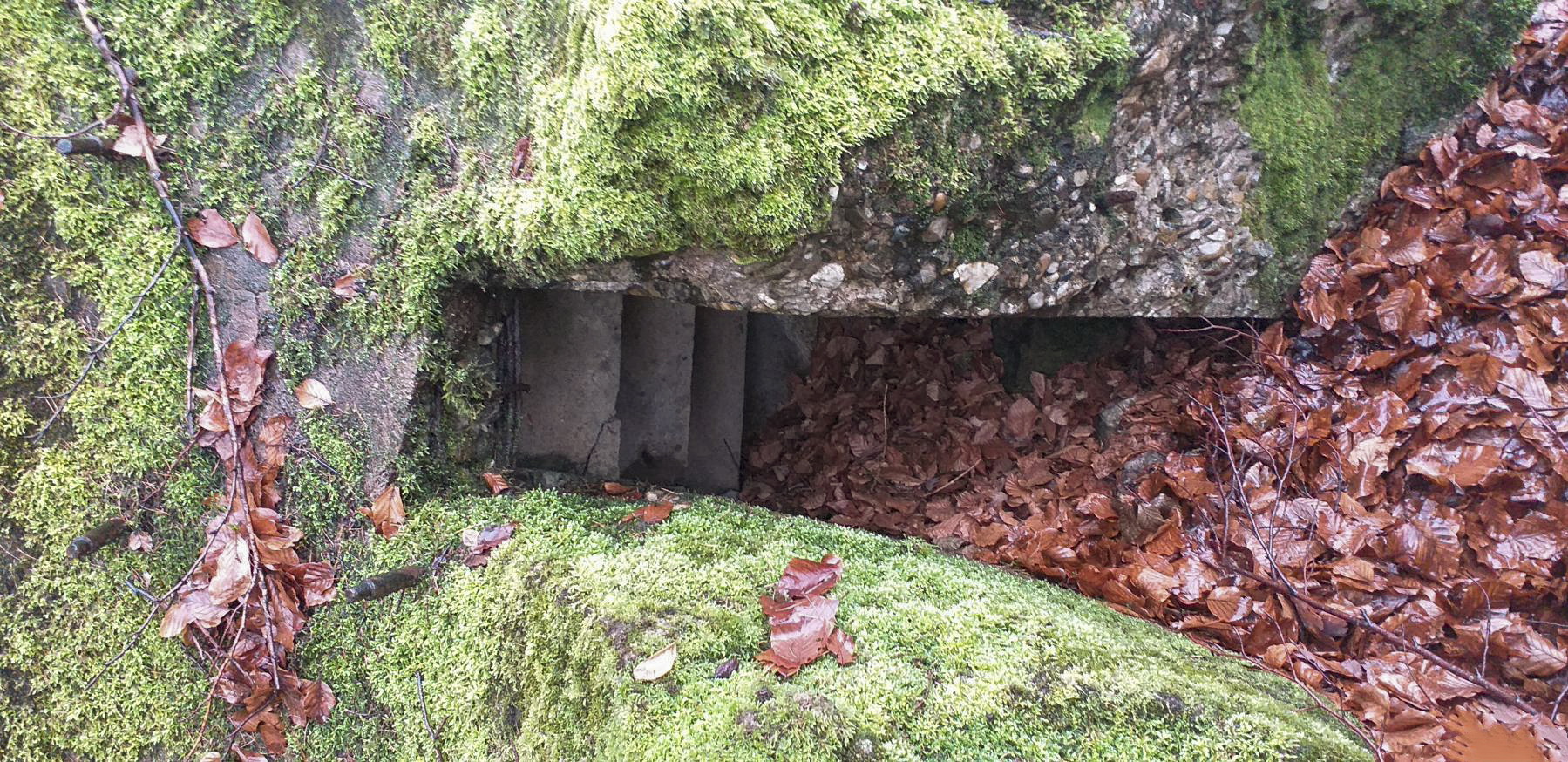 Ligne Maginot - PFAFFENBRONN - O96 - (Observatoire d'artillerie) - Une partie du créneau d'observation