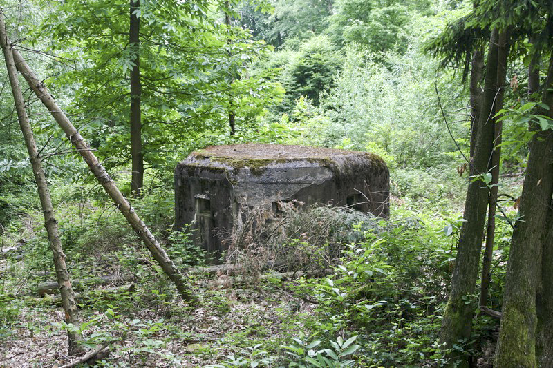 Ligne Maginot - GROS CHENE Est ( Blockhaus pour arme infanterie ) - 