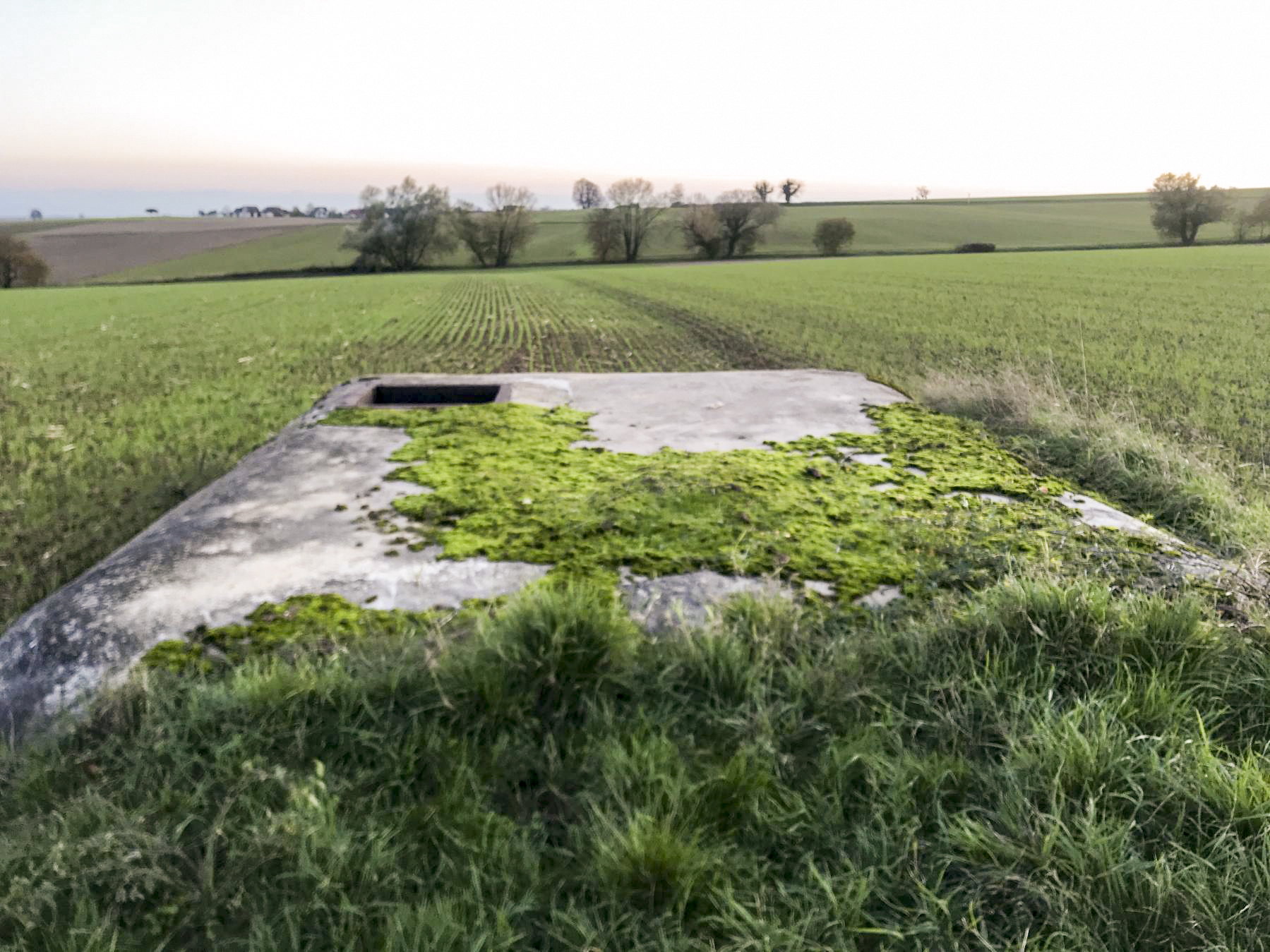 Ligne Maginot - H3 - (Chambre de coupure) - 