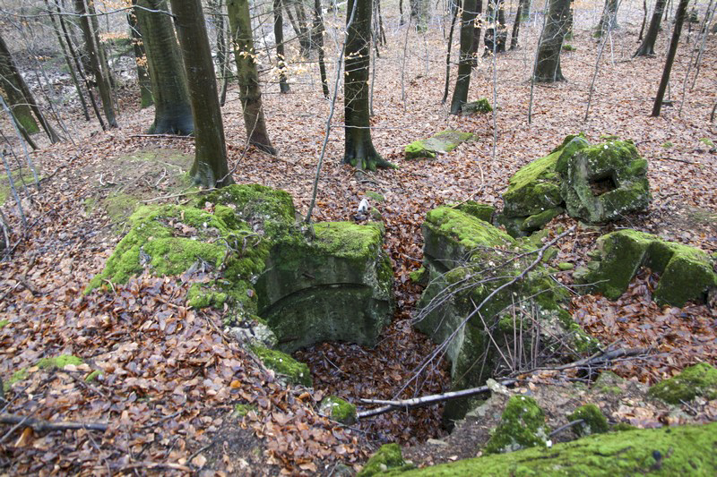 Ligne Maginot - HOCHWALD Ouest 2 ( Blockhaus pour arme infanterie ) - 