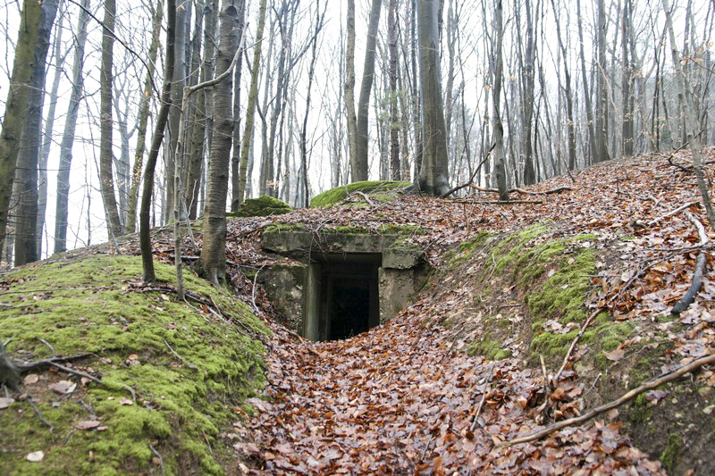 Ligne Maginot - HOCHWALD Ouest 2 ( Blockhaus pour arme infanterie ) - 